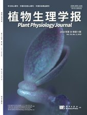 示范引领 服务全民健康