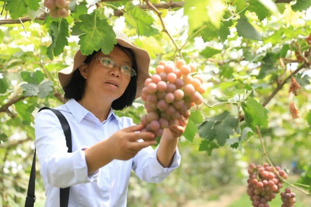 pg电子大平台网页版安全访问科学技术