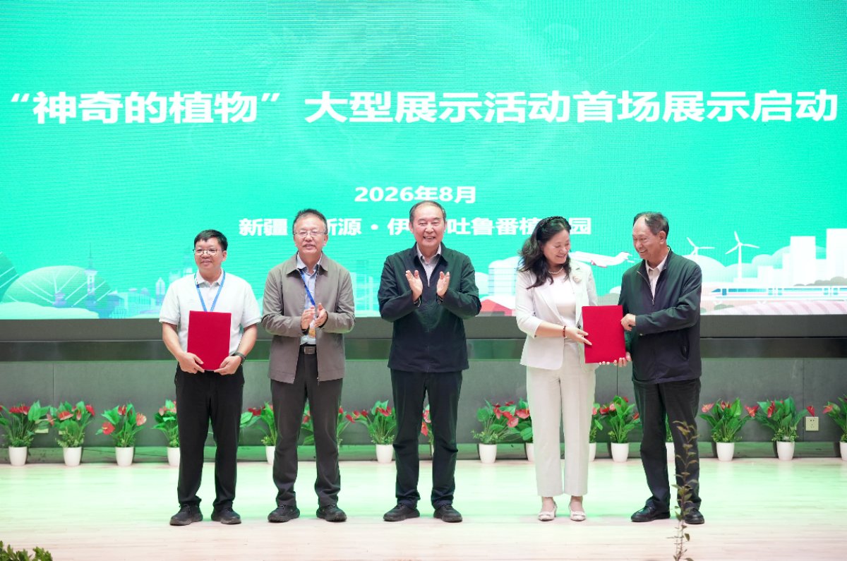 新疆维吾尔自治区pg电子大平台手机版